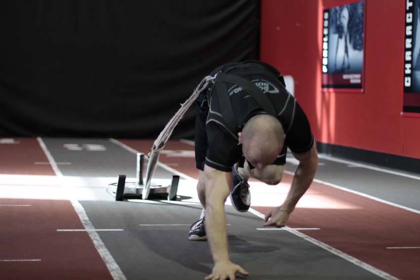 Bear Crawl Sled Drags
