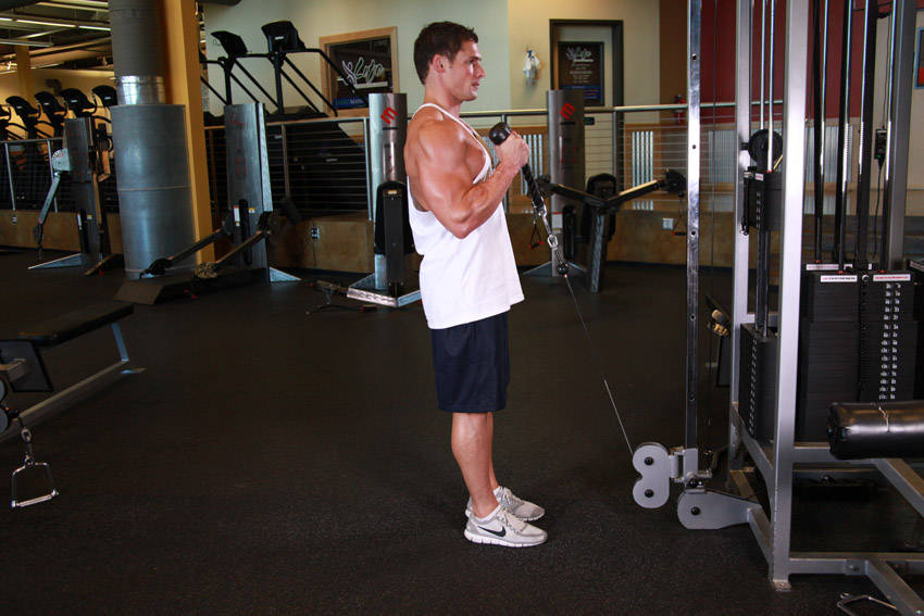 Cable Hammer Curls - Rope Attachment