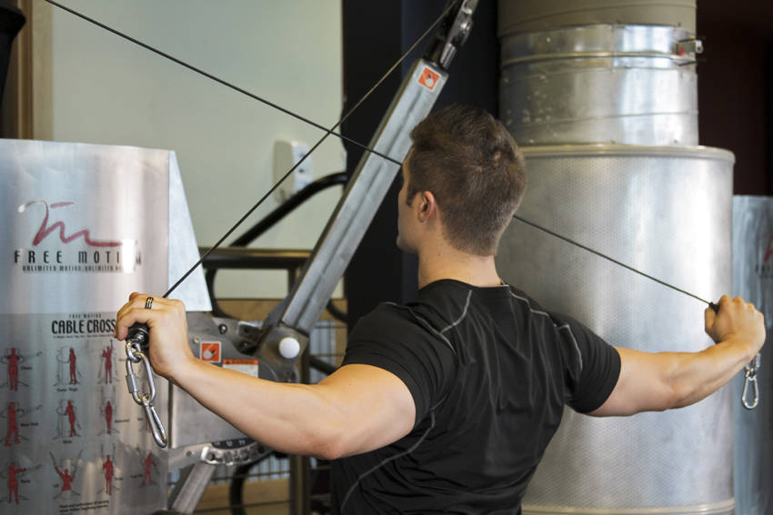 Cable Rear Delt Fly