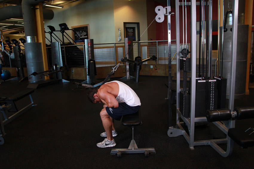Cable Seated Crunch