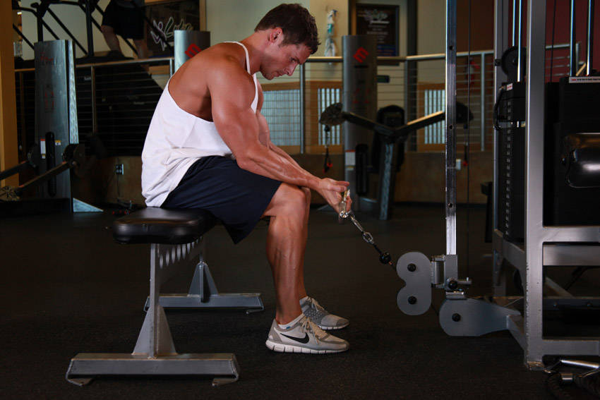 Cable Wrist Curl