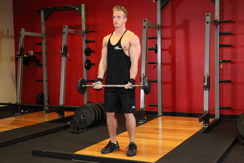 EZ-Bar Curl