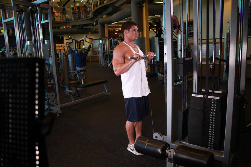 Reverse Cable Curl