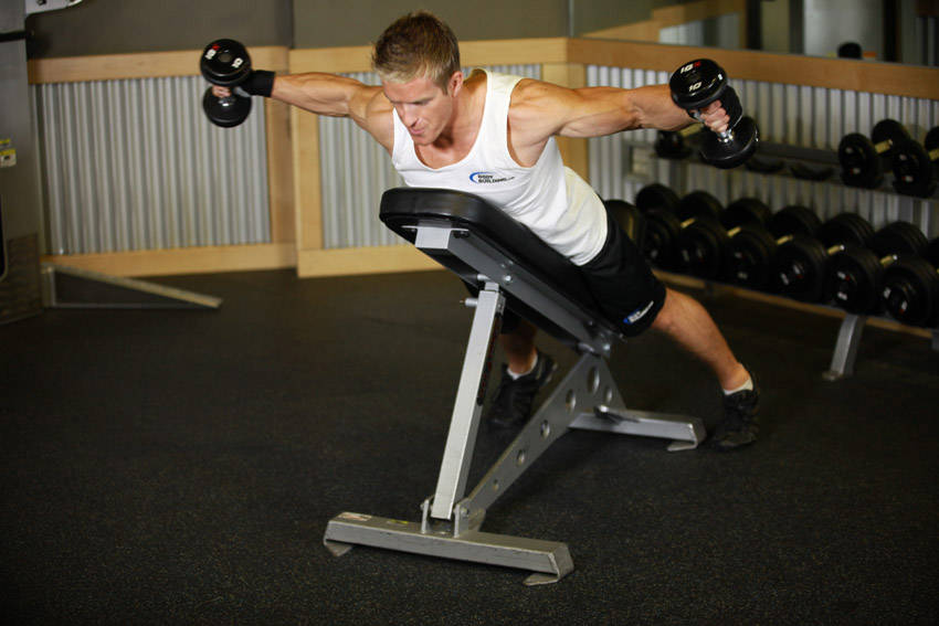 Reverse Flyes With External Rotation