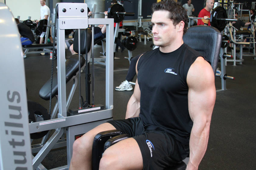 Thigh Adductor